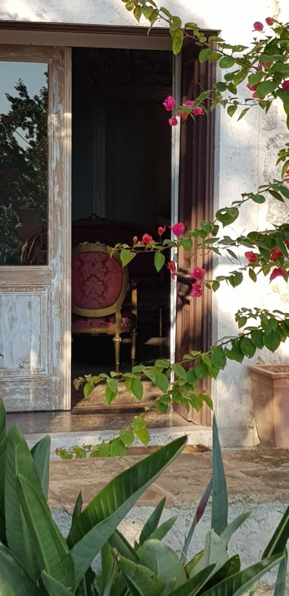 Ani Ariel Appartement *
