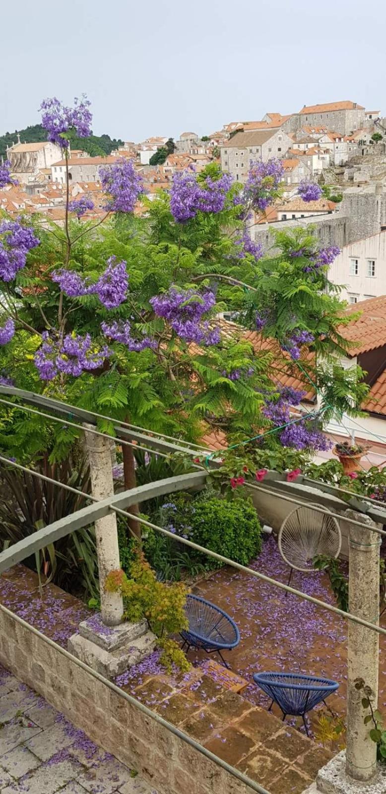 Apartman Ani Ariel